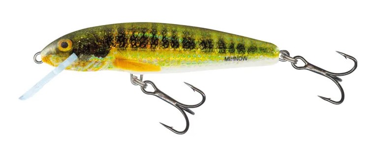 Salmo Minnow Floating 5cm